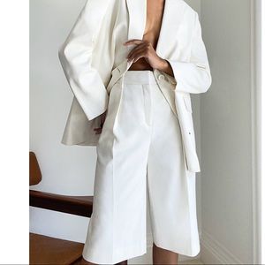 Aritzia 1-01 Babaton Modern Culotte High-rise culottes